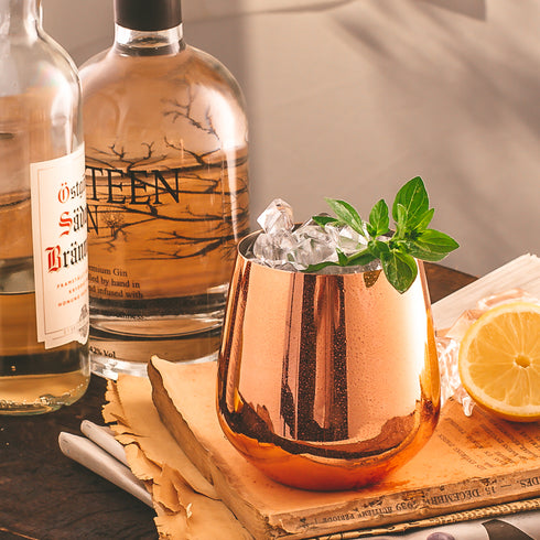 Stemless Copper Wine Glasses Set of 2