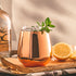 Stemless Copper Wine Glasses Set of 2