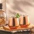 Stemless Copper Wine Glasses Set of 2