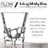 Iceberg Whisky Glasses Gift Set